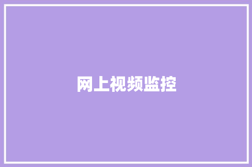 网上视频监控