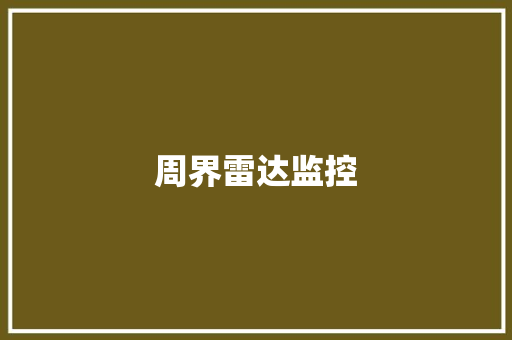 周界雷达监控