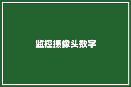 监控摄像头数字