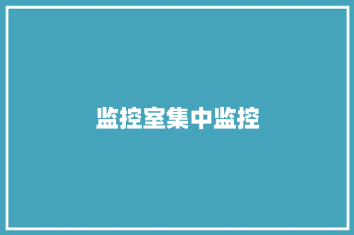 监控室集中监控,画面助手120帧和平精英。