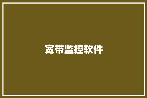 宽带监控软件