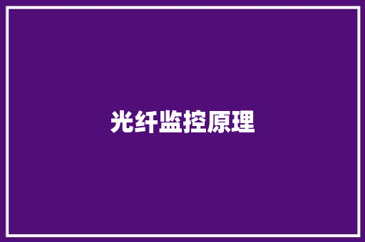 光纤监控原理,光纤陀螺。