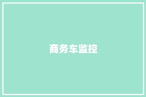 商务车监控