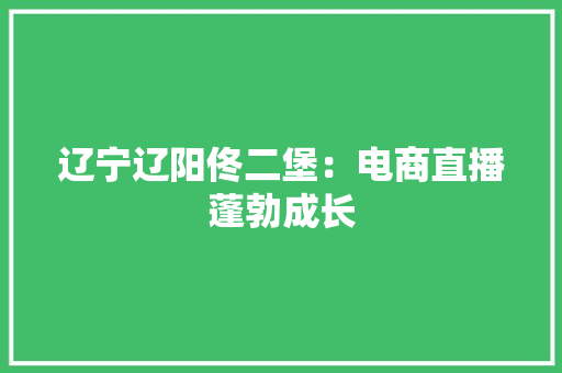 辽宁辽阳佟二堡：电商直播蓬勃成长 辽宁辽阳佟二堡：电商直播蓬勃成长 智能科技