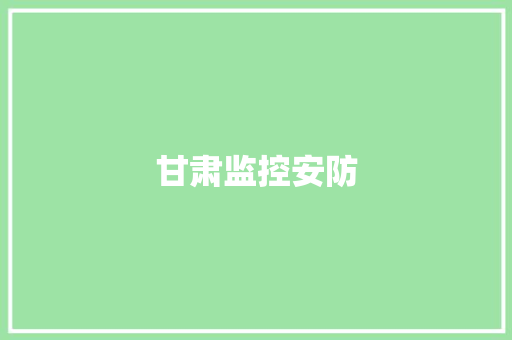甘肃监控安防,监控供应商。