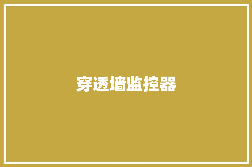 穿透墙监控器