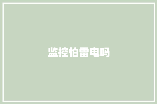 监控怕雷电吗