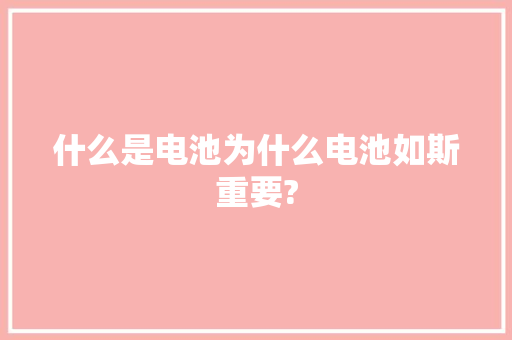 什么是电池为什么电池如斯重要?