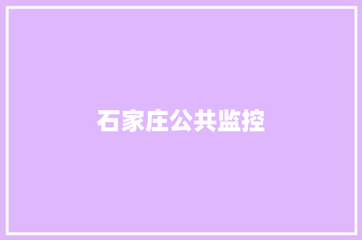 石家庄公共监控