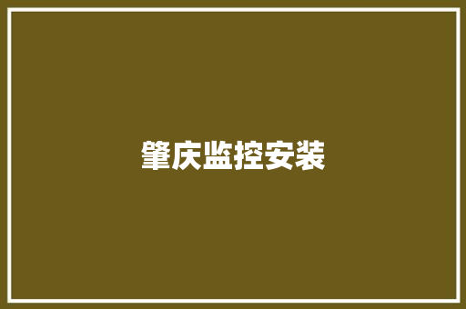 肇庆监控安装
