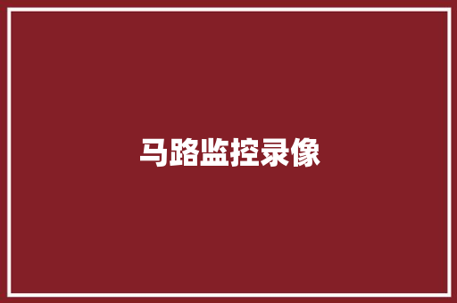 马路监控录像