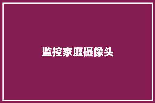 监控家庭摄像头 监控家庭摄像头 智能家居