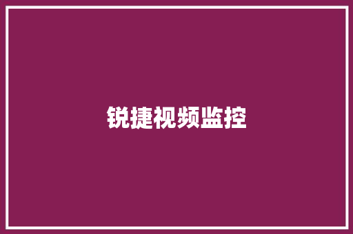 锐捷视频监控