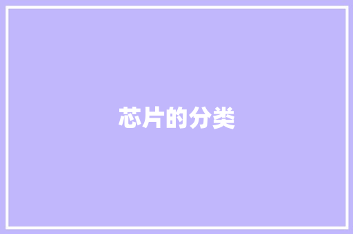 芯片的分类