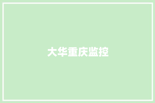 大华重庆监控