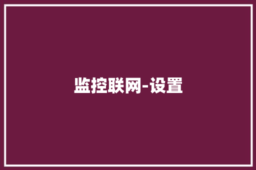监控联网-设置