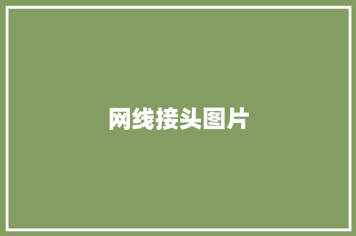 网线接头图片