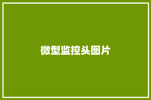 微型监控头图片