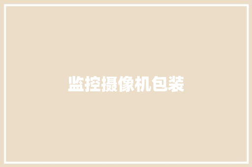 监控摄像机包装,摄像机品牌前十名。
