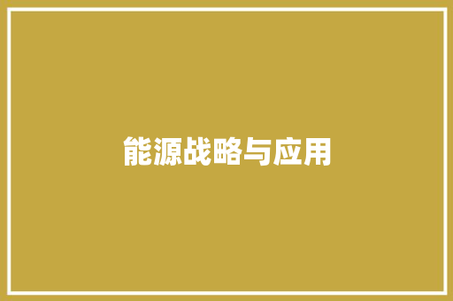 能源战略与应用