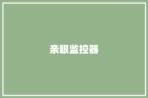 亲眼监控器 亲眼监控器 智能科技