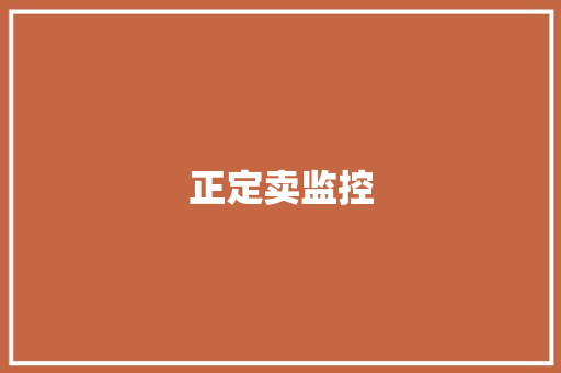 正定卖监控