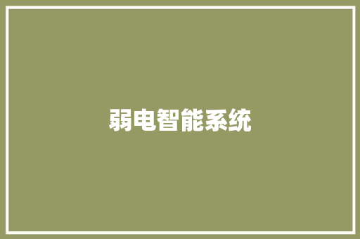 弱电智能系统
