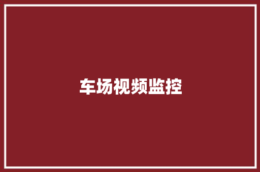 车场视频监控