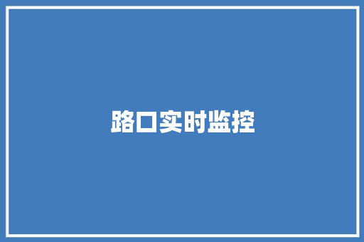 路口实时监控,监控供应商。