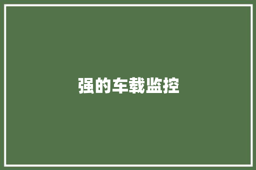 强的车载监控
