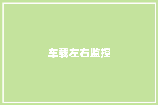 车载左右监控 车载左右监控 智能科技