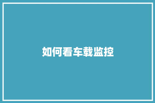 如何看车载监控,记录仪十大品牌排行榜。