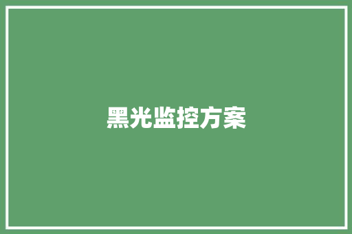 黑光监控方案