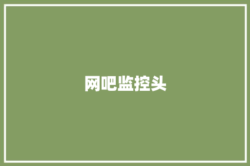 网吧监控头 网吧监控头 互联通信