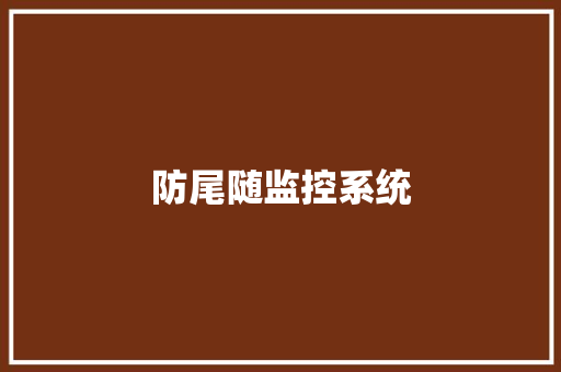 防尾随监控系统 防尾随监控系统 人工智能