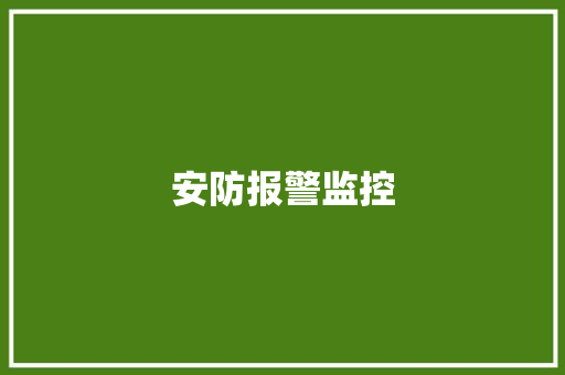安防报警监控