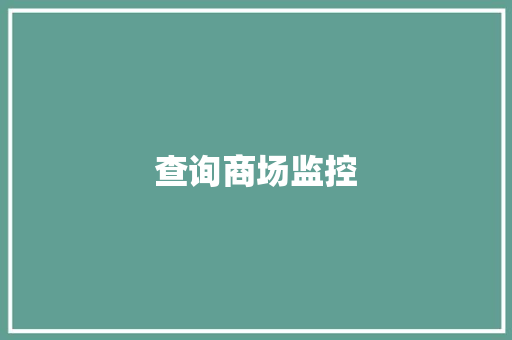 查询商场监控