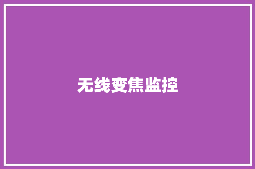 无线变焦监控 无线变焦监控 智能家居