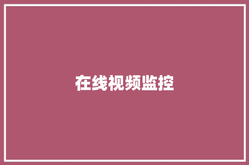 在线视频监控,监控供应商。