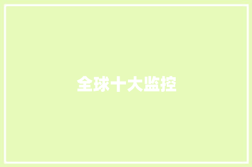 全球十大监控
