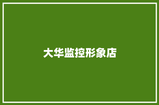 大华监控形象店