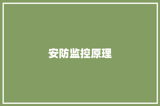 安防监控原理,摄像头监控哪个品牌好。