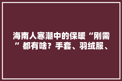 海南人寒潮中的保暖“刚需”都有啥？手套、羽绒服、暖宝宝贴下单最多
