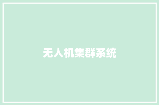 无人机集群系统