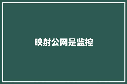 映射公网是监控