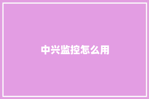 中兴监控怎么用,监控供应商。