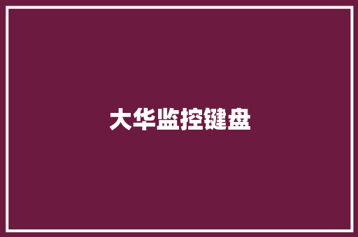 大华监控键盘