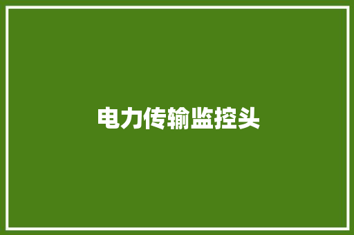 电力传输监控头