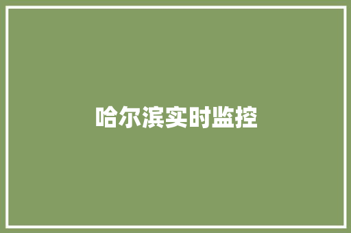 哈尔滨实时监控 哈尔滨实时监控 智能家居