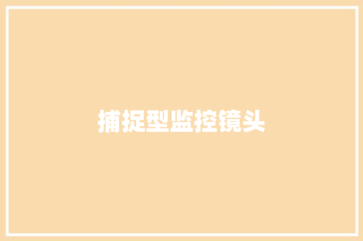 捕捉型监控镜头